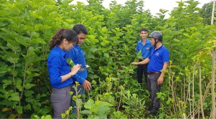 Đoàn Thanh niên xã Ea Phê kiểm tra công tác sử dụng vốn vay